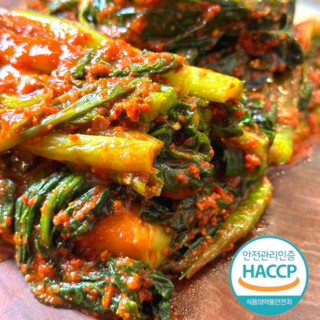 산지생산제조 국내산 산지직송 여수 돌산 갓김치, 1kg, 1개