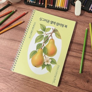 싱그러운 열매 컬러링 북 도안 어르신 과일 색칠공부 색칠하기 어른 성인취미 치매예방 책 컬러드로잉 시니어 학습지, 비5, 1개