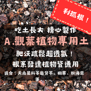 吃土長大 觀葉植物專用土 觀葉植物介質 龜背芋 蔓綠絨 天南星科 觀音蓮 泥炭土 培養土 椰纖土 栽培土 根呼吸, 1個, 1.5L