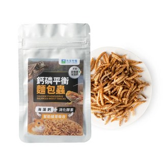 角落特寵 鈣磷平衡麵包蟲 寵物零食, 1個, 10g