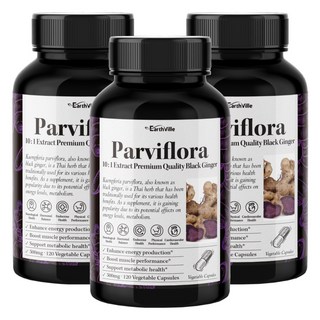 어스빌 파비플로라 흑생강 10배농축 추출물 500mg 베지캡슐 4개월분, 3개, 120정