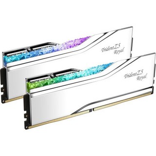 G.SKIL 트라이던트 Z5 로얄 시리즈 DDR5 RAM 인텔 XMP 3.0 32GB 2x16GB 6400MT/s CL30-39-39-102 1.40V 데스크탑 컴퓨터 메모리, Silver, 2개