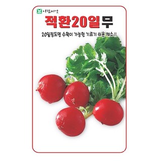 적환 20일무 씨앗 무우 씨 종자, 3개