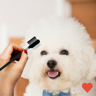 애견 위생용품 강아지 눈꼽 빗 비숑 얼굴 눈물, 블랙, 1개