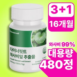 다이너핏트 와사비잎 추출물100% 정품 식약청인증, 4개, 120정