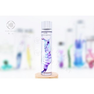 魚心標本藝術 透明生物標本 水晶蝦 Pasiphaea japonica 精緻水晶工藝 展現海洋生物之美, 1個