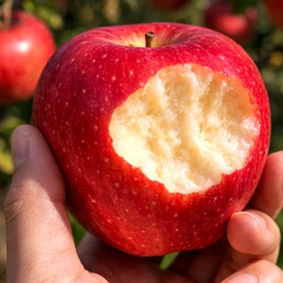 [3일간초특가] 새콤달콤 청송사과 꿀사과 부사, 1개, 5kg