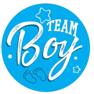 性別揭曉派對投票海報 (附貼紙 / 4款), 藍色+粉色, 1個