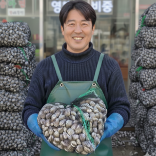 상위1%생산자직송 보성 벌교 여자만 새꼬막, 1박스, 2kg (소)