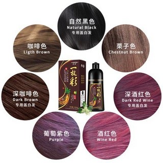 美度一枝彩染髮劑洗髮水，植物萃取，輕鬆上色，快速遮蓋白髮，多種顏色可選, coffee咖啡色,500ml, 1個