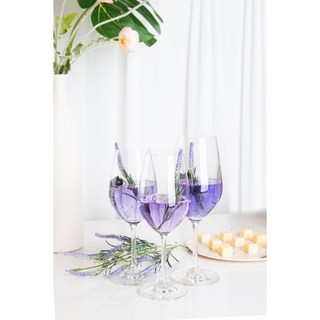 키텐실 클래식 크리스탈 글라스 보르도 와인잔 2P, 2개, 350ml