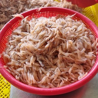 대용량 특가/김장용 생새우 5kg(1kgX5팩)/서해 조업 급냉/동백하