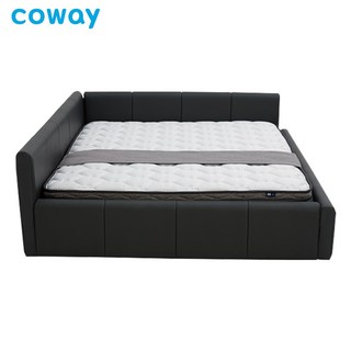 코웨이 비렉스 패밀리 프레임 퀸 CFQ-LM01G무료방문설치1년무상관리, 다크 그레이