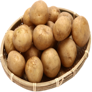 [감자청년] 2025년 햇감자 두백감자 왕왕/ 왕/ 특/ 상사이즈 20kg 10kg 5kg 3kg, 1박스, 20kg 특