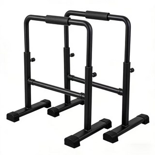 Aiiyya (높이조절) 평행봉 딥스바 2p, 검정