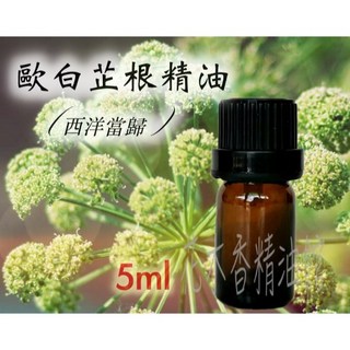 歐白芷根精油 西洋當歸 5ml/10ml, 1個, 5ml