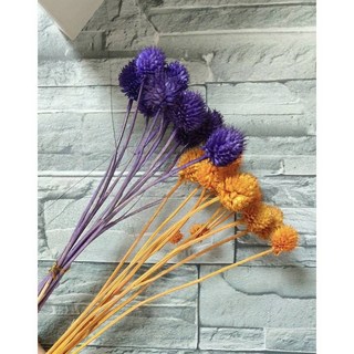 乾燥花 乾燥花材 草莓果 DIY素材 染色花材 搭配花材 居家裝飾, 草莓果/橘色3支