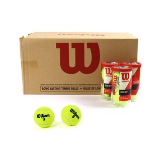 윌슨 챔피언쉽 시합구 (BOX) 36캔 시합용 테니스공 박스, 옐로우, 36개