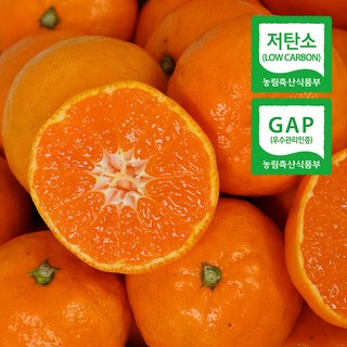 (자연마을) 당도선별 감귤 GAP 저탄소 제주 고을향, 고을향 감귤 1kg (9-12입)