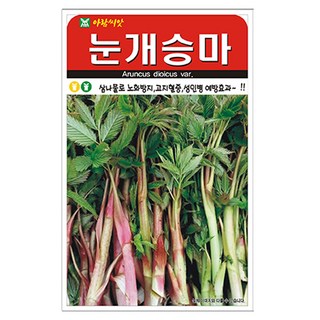 아람 눈개승마 삼나물 씨앗 500립, 5개