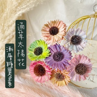 畢業禮物 通草太陽花 索拉花 擴香花 畢業花束裝飾 謝師禮, Mini-2,漸層繽紛糖果色、每個面向與角度皆有不同, 1個