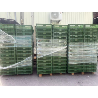 塑膠收納箱 - 黑色, 墨綠色, 1個