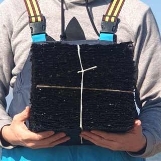 땅끝마을김공장 햇곱창김 무염산 지주식 무사카린 곱창돌김 1톳 100매, 420g, 1개, 특상품