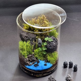 테이블가드닝 검정색 이끼할방 이끼 테라리움 키트 제주애기모람 테라리움 만들기, 1개