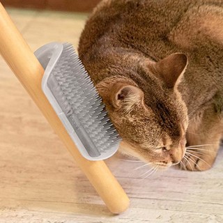 셀프 고양이 그루밍 고양이털관리 셀프그루머, 2개