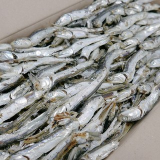 가락시장521 국산 최상급 햇 다시멸치 1.5kg 남해 국물용 육수용 대멸치, 1개