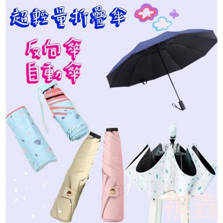 晴雨傘 太陽傘 加大自動傘
