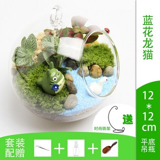 苔蘚生態瓶玻璃微觀盆景微景觀植物迷你盆栽DIY植物節日活動禮物kun, 1個, 藍花龍貓+鐵架（12cm）