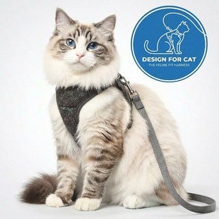 소풍일상 이탈방지 편안한 고양이 캣 하네스 목줄 리드줄 세트, 1개, 그레이