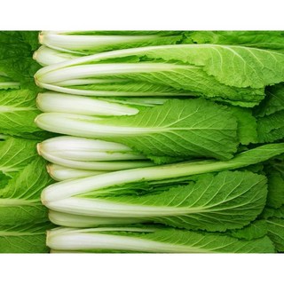 [신일농산] 국내산 얼갈이 배추 4kg, 1박스