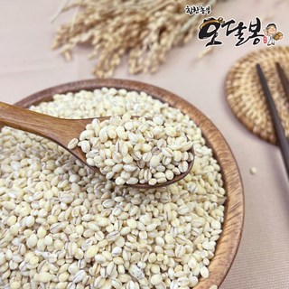 힘찬농부오달봉 국산 늘찰보리, 3kg, 1개