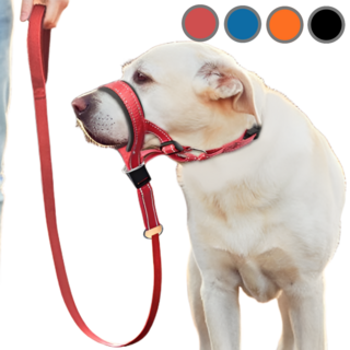 도다인몰 젠틀리더 반사판 벨트 대형견 중형견 소형견 목줄, 1개, 레드M