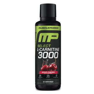 머슬팜 셀렉트 L-카르니틴 3000 사우어 체리, 1개, 480ml