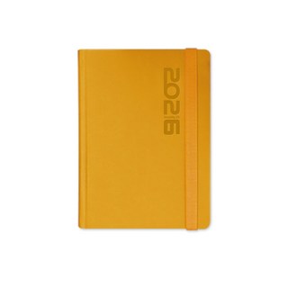 양지사 2026 유즈어리25라이트 다이어리, 골든라드