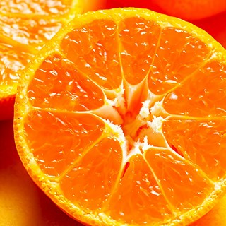 시즌베스트 제주직배송 엄격선별 과즙폭발 레드향, 1세트, 5KG 강력추천