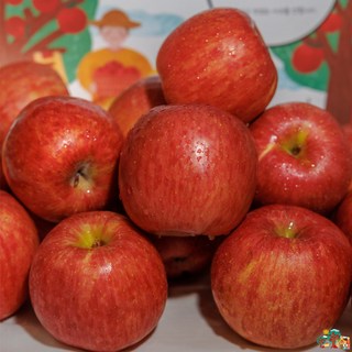 건강을 담은 장군이네 경북 청송 가정용 선물용 꿀사과 흠과, 1개, 가정용 소과 5kg