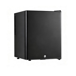 LADUTA 拉布塔 40L冷藏箱 保鮮迷你冰箱 茶葉櫃 車載冰箱 車用