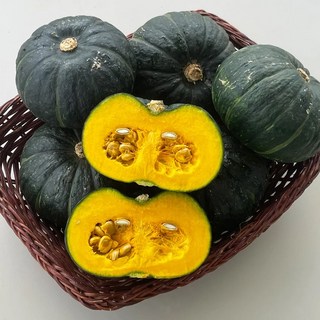 제주삼촌 미니 밤호박 단호박 밤단호박 보우짱, 1박스, 4kg