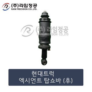 현대트럭 엑시언트 탑쇼바 (후)/라임정공