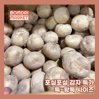 봄드리마켓 포슬포슬 가성비 햇감자, 1개, 5kg 특 (개당 130g 내외)