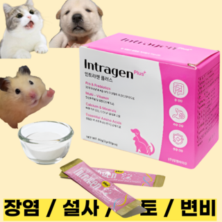 인트라젠 장염 설사 구토 변비 면역력강화 유산균 영양제 강아지 고양이 햄스터, 1세트, 5포