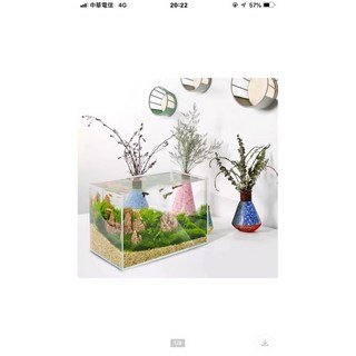 邦邦水族 超白玻璃缸 超白玻璃水族箱 小型魚缸桌面客廳斗魚烏龜缸草缸金魚缸 四種尺寸, 1個, 26*17*19cm