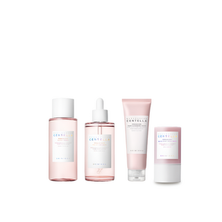 스킨1004 마다가스카르 센텔라 모공 케어 4종 세트 클리어 토너 210ml + 프레쉬 앰플 100ml + 스틱마스크 27g + 딥 클렌징 폼 125ml, 1개