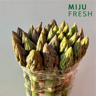 아스파라거스, 500g, 1개, 중간(중)