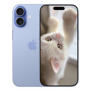 i폰 17 미개봉 새상품, 512GB, 미스트 블루(Mist Blue)