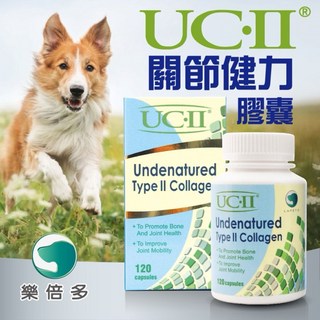 LAPETO 樂倍多 犬貓適用 UC-II 關節健力膠囊, 120顆, 關節, 1個